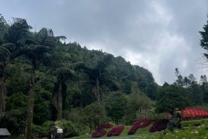 Luxury Mekong Delta Tour Sapa 6